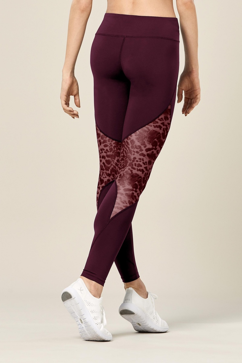 Spodnie Damskie Bloch Ezra Animal Printed Mesh Panelled Full Length Tight Lavish | PLCVG69514